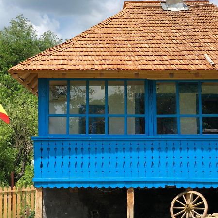 Villa Casa Albastra à Băile Olăneşti Extérieur photo