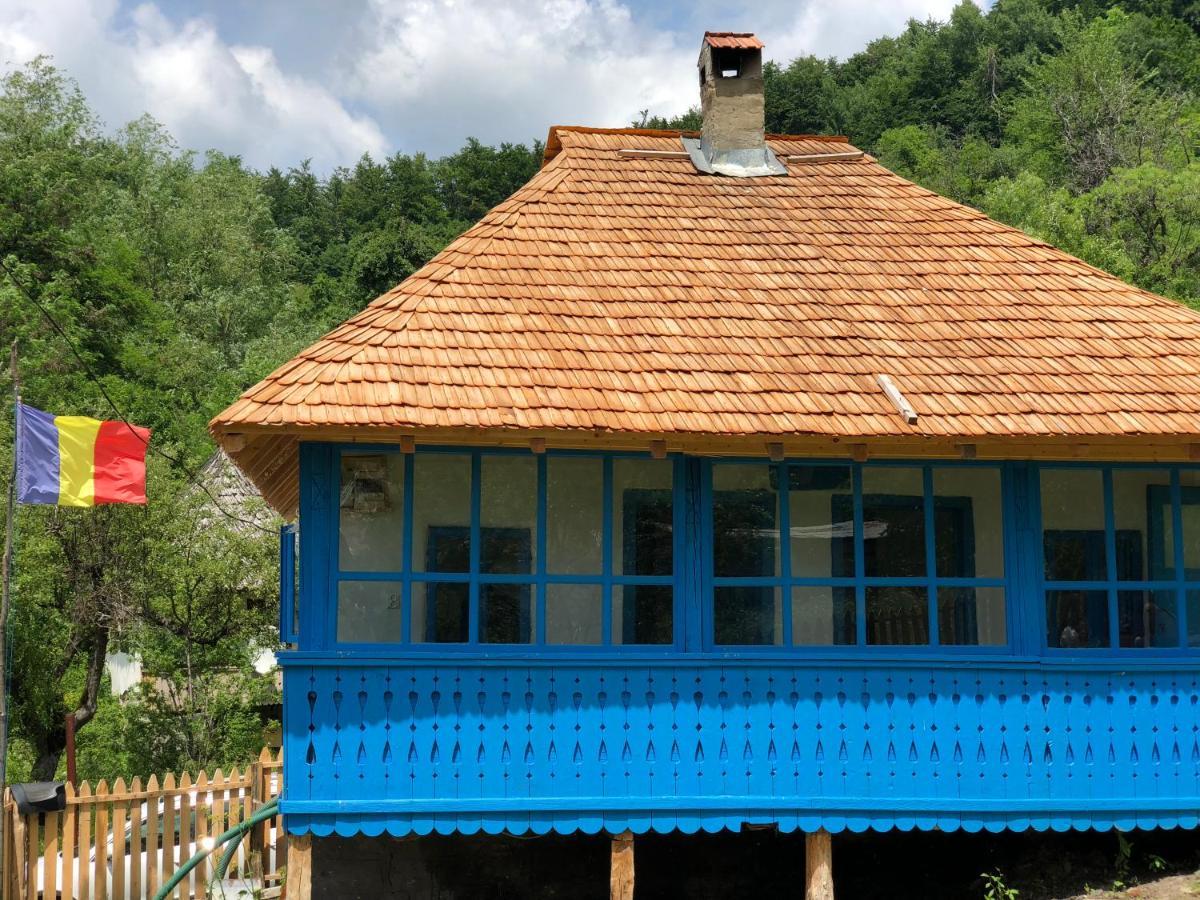 Villa Casa Albastra à Băile Olăneşti Extérieur photo