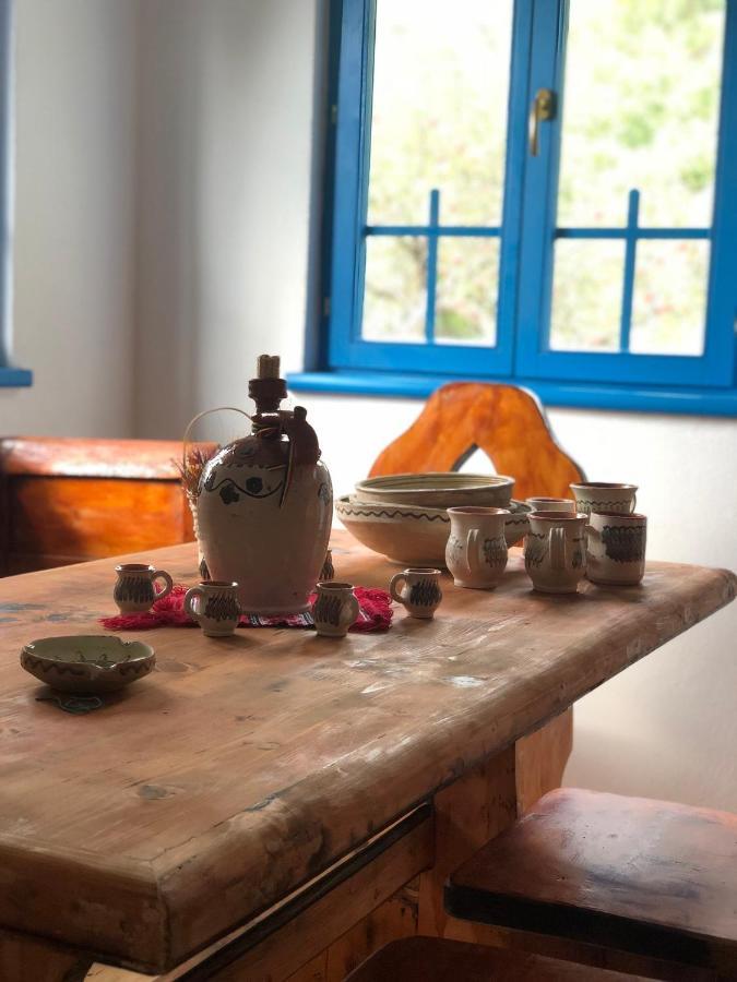Villa Casa Albastra à Băile Olăneşti Extérieur photo