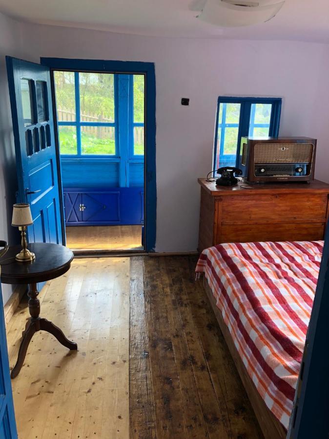 Villa Casa Albastra à Băile Olăneşti Extérieur photo