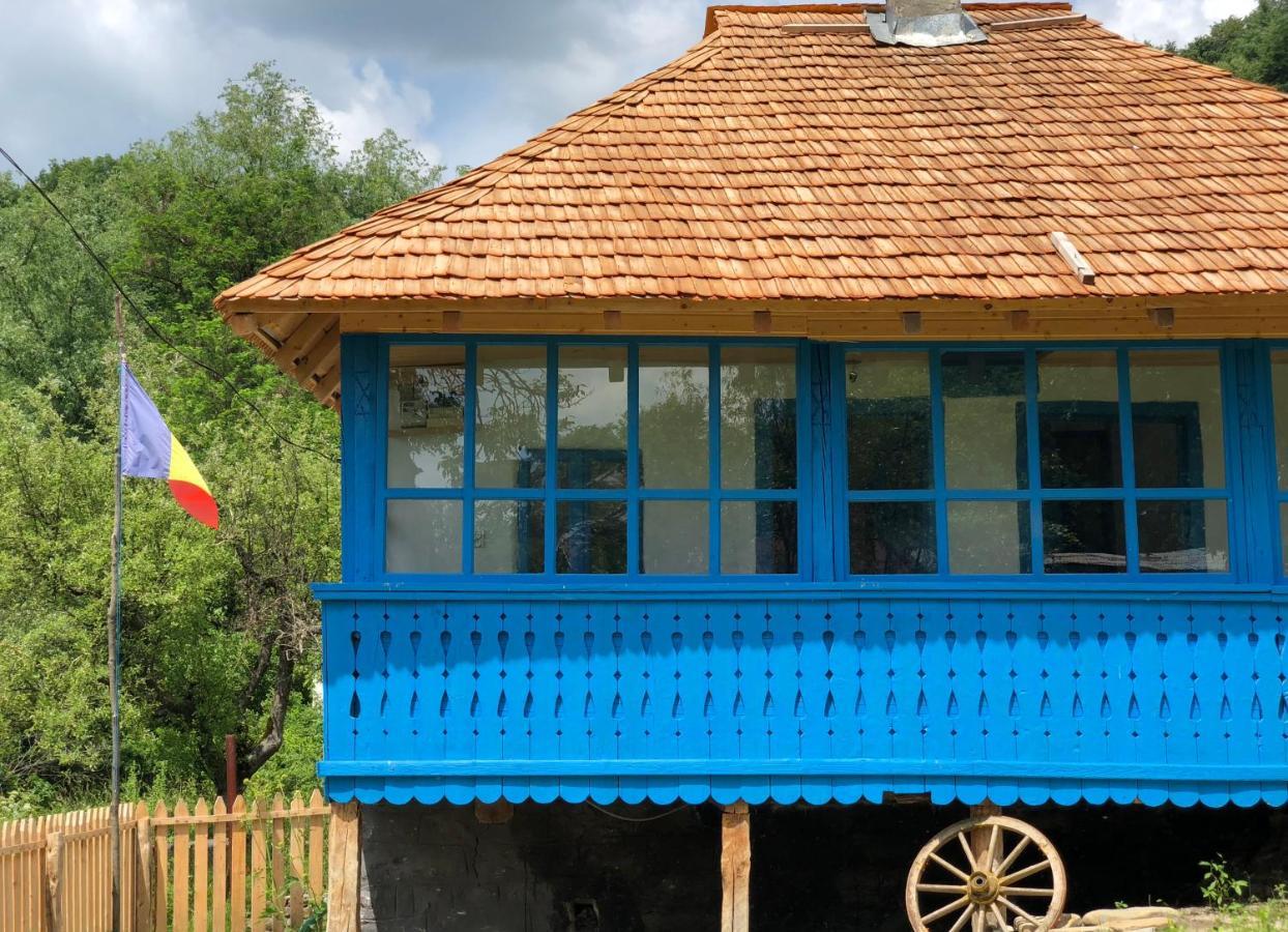 Villa Casa Albastra à Băile Olăneşti Extérieur photo