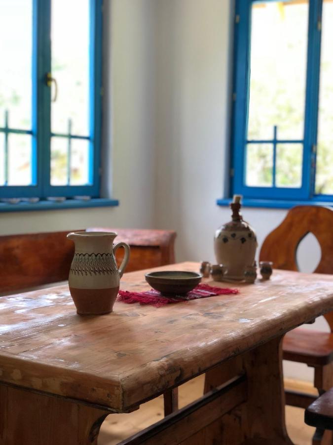 Villa Casa Albastra à Băile Olăneşti Extérieur photo