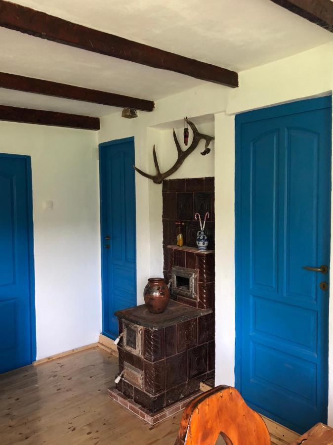 Villa Casa Albastra à Băile Olăneşti Extérieur photo