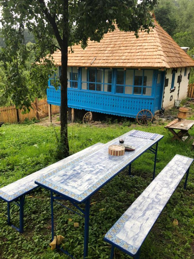 Villa Casa Albastra à Băile Olăneşti Extérieur photo